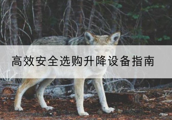 茂县升降货梯厂家推荐-*安全选购升降设备指南