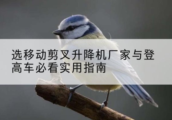 茂县电动升降机厂家-选移动剪叉升降机厂家与登高车必看实用指南